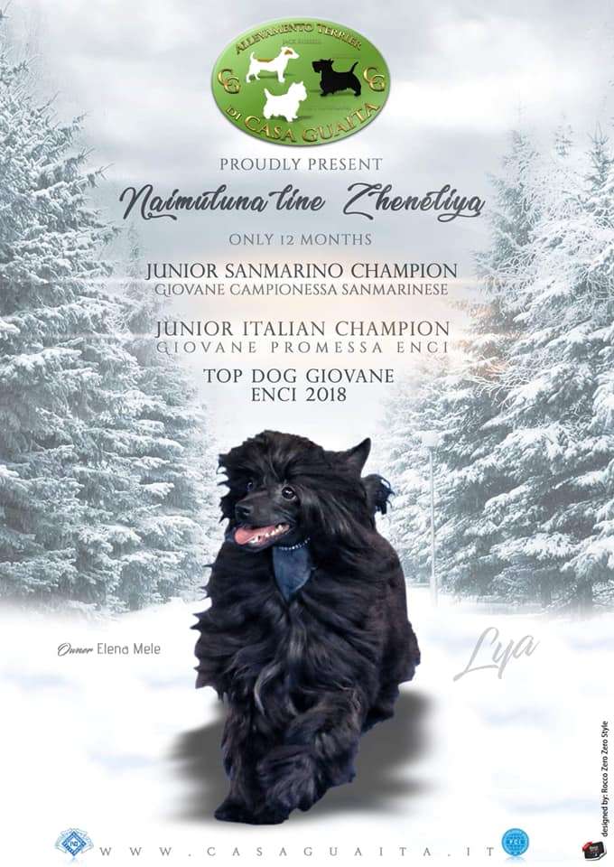 Naimuluna Line Zheneliya (puff)