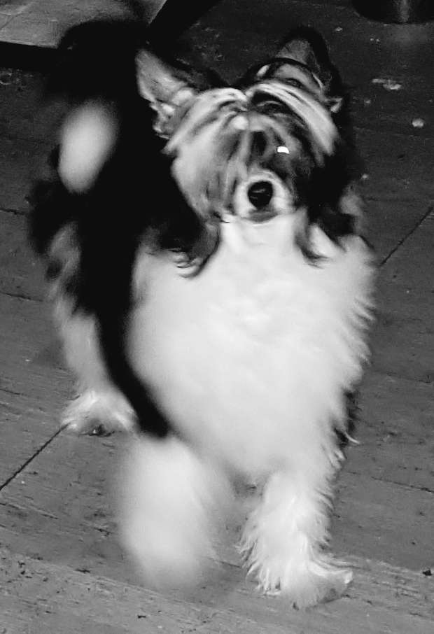 Suaisa Truth and Dare