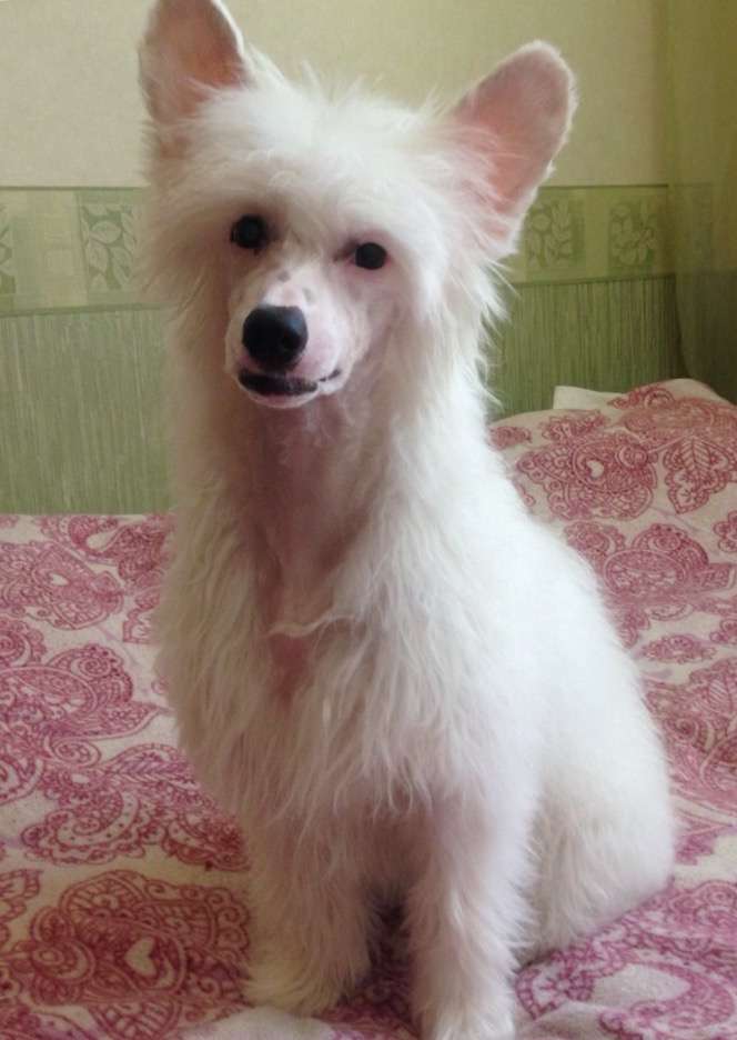 Kovimoti Beata Onefater