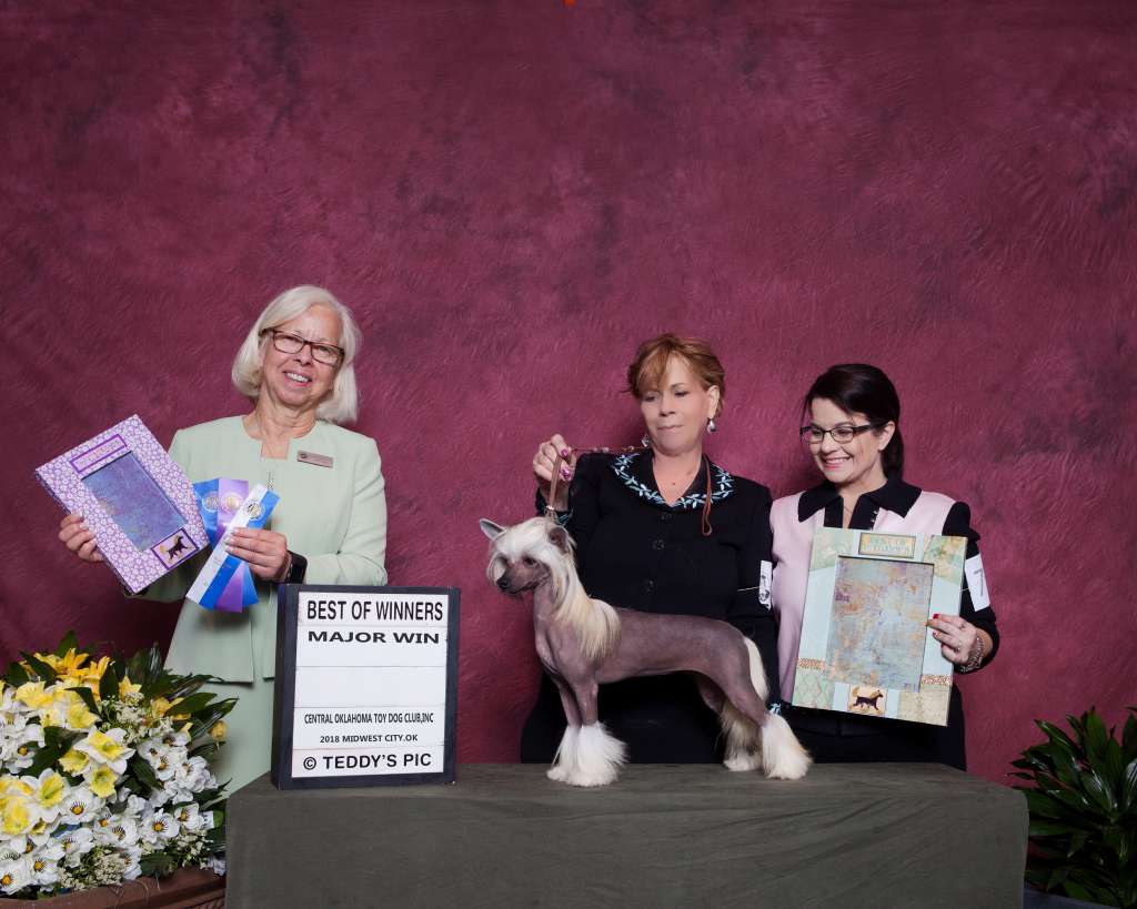 Cabaret Dasha Drippin In Finesse