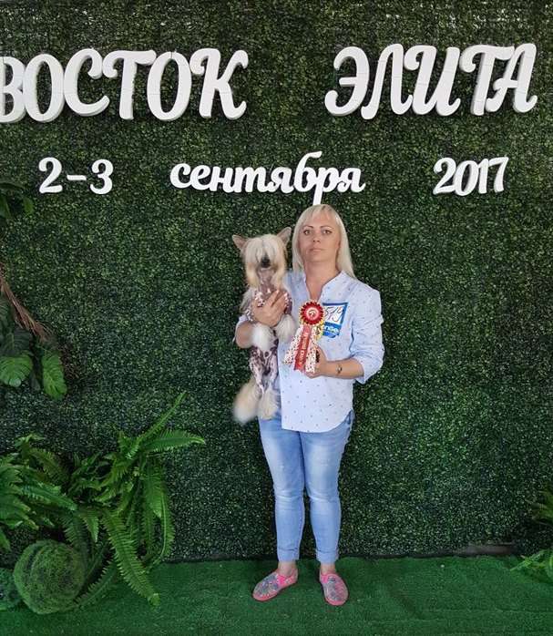 Bendgamina Belissimo