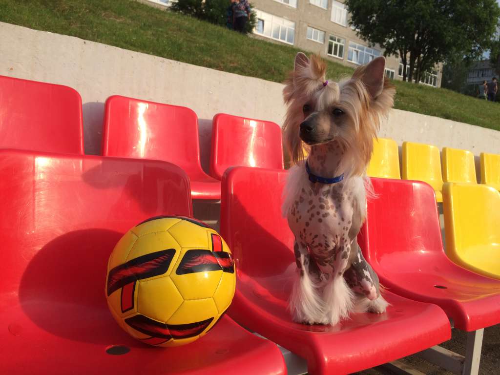 Bebi YArkaya Vspyshka