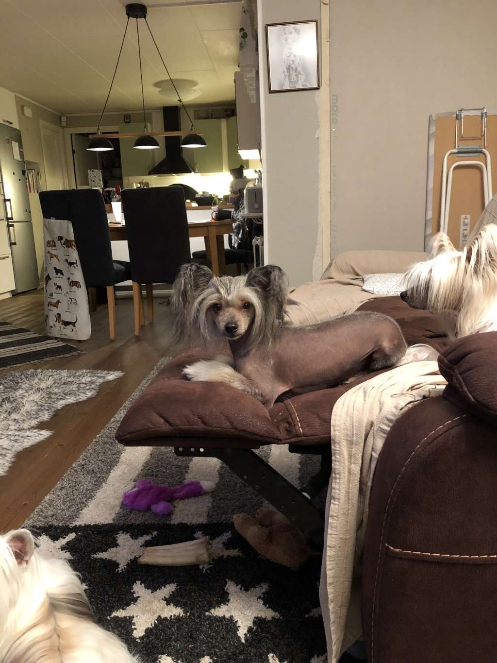 Krysolit Keep Talking