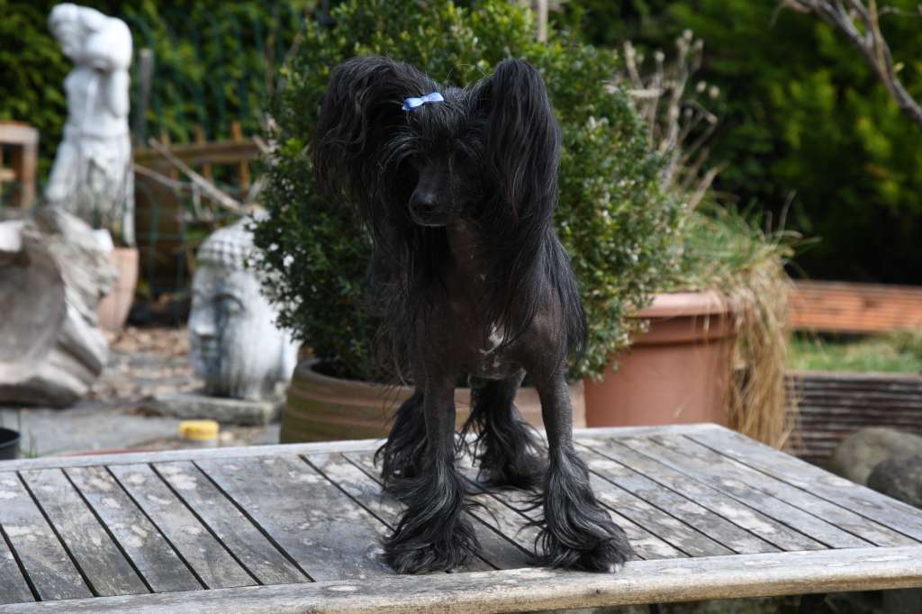 Manuela Planet Of Dream