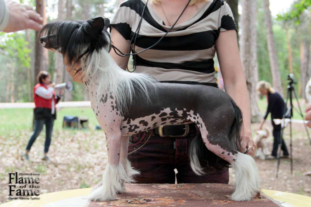 Malika Planet Of Dream