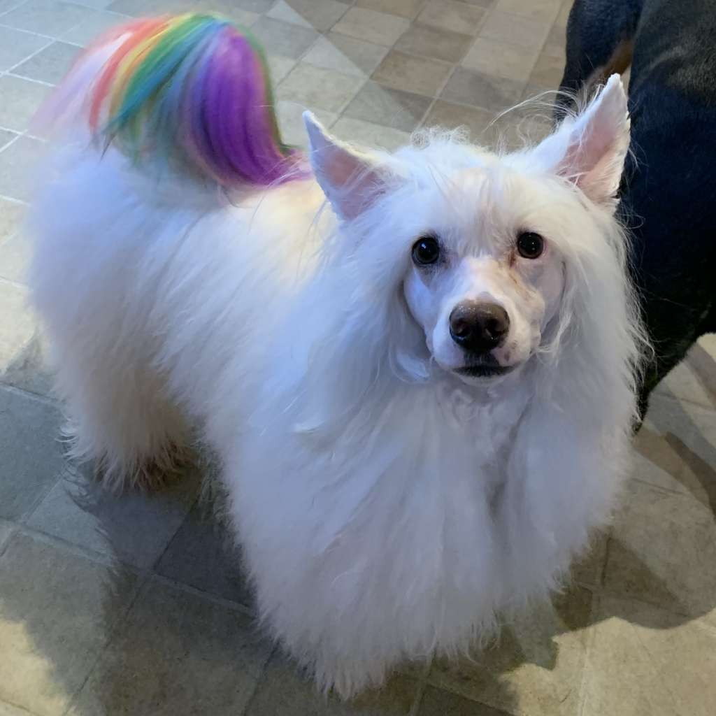 Xelocrest winter snow