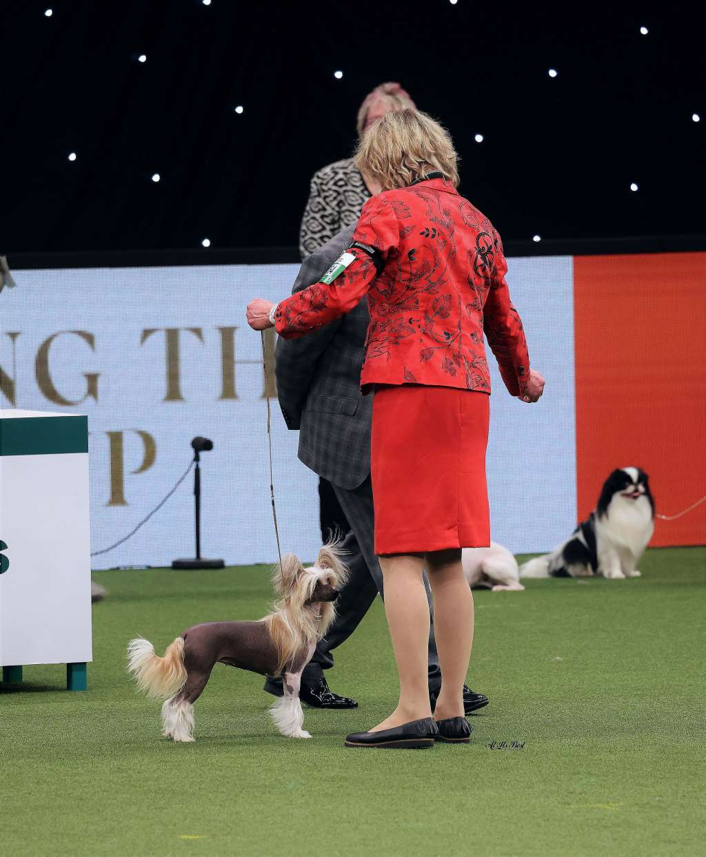 Hand In Glove Made Of Frabies Beauties