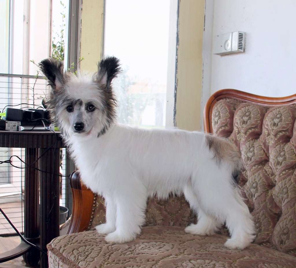 Holy Mary Made Of Frabies Beauties