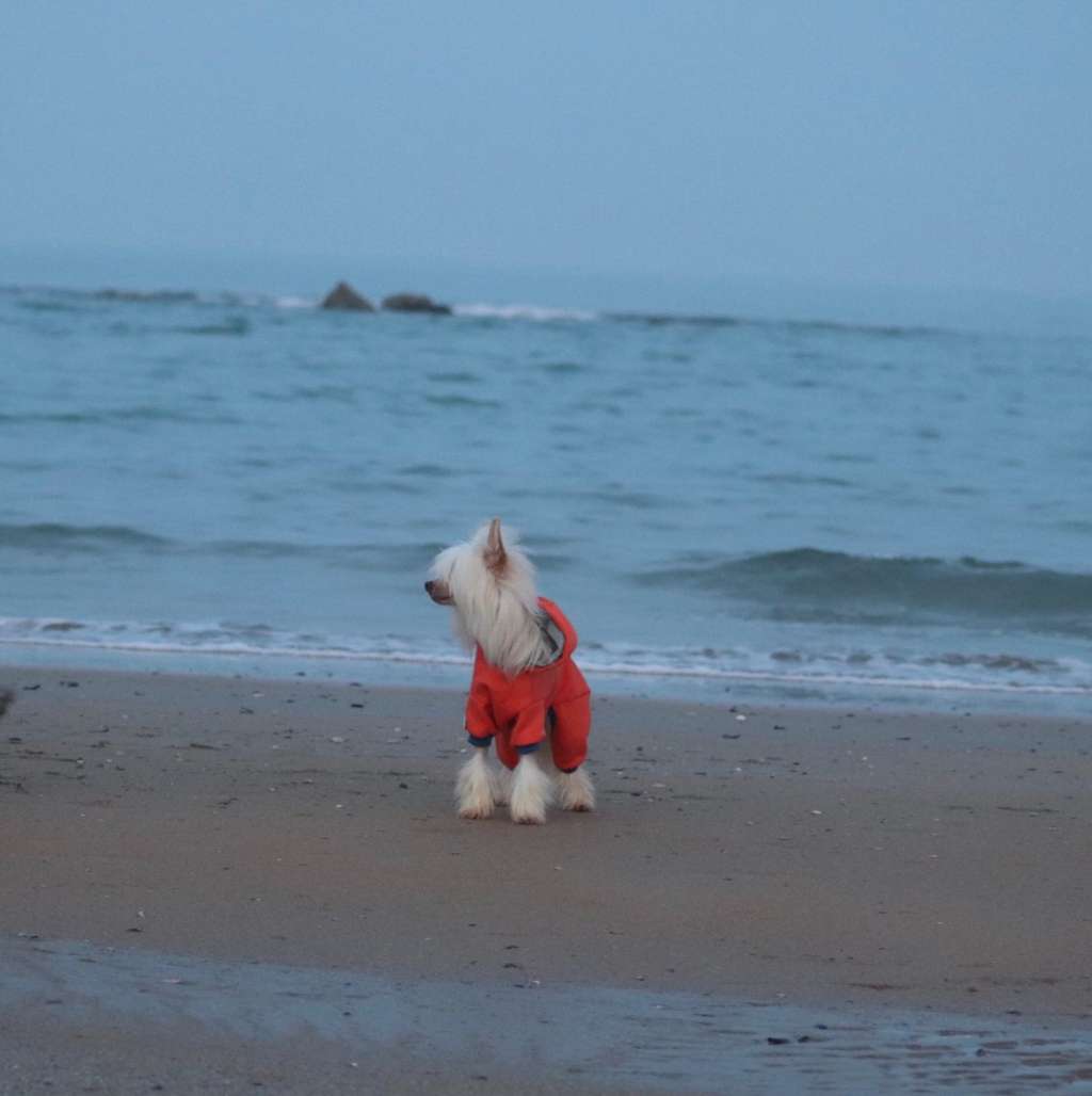 Brendan Molosos Gratzi