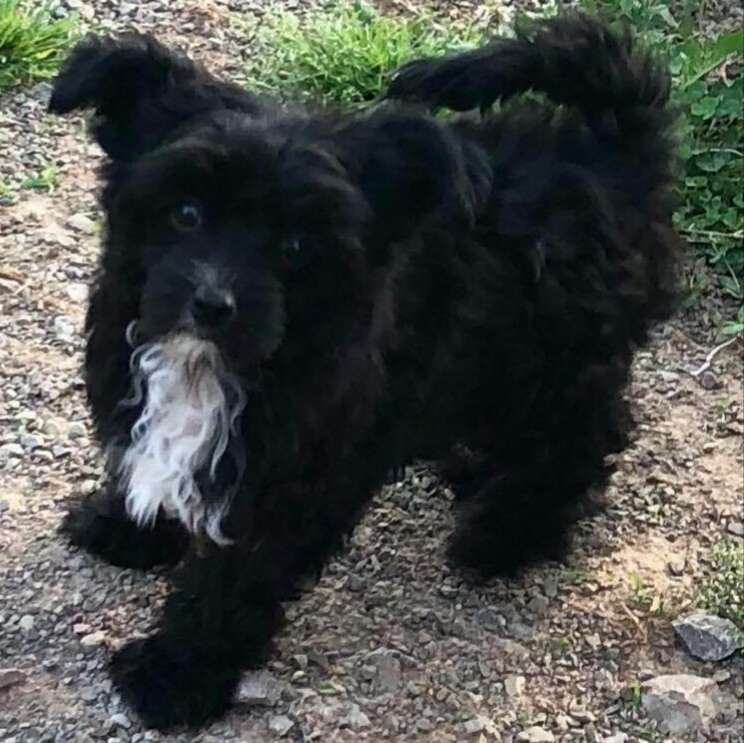 Cosmic's Mysterious Temptress