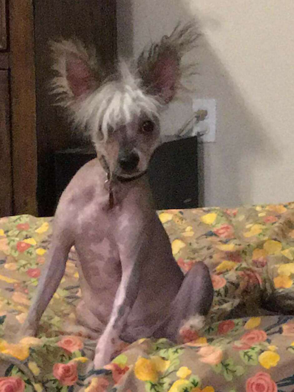 Southern Peach Nana Nana Booboo