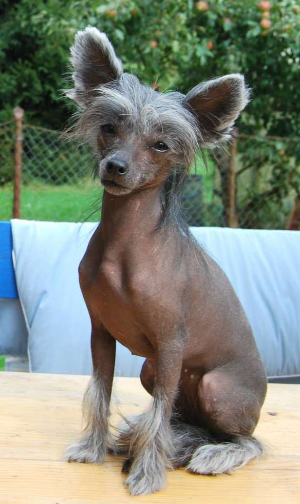 Miry Heavens Blue Diamonds