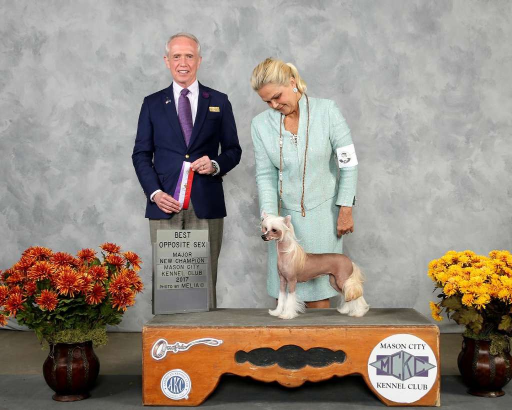 CH Windsongs Witchcraft and Wizardry at Sondrarose