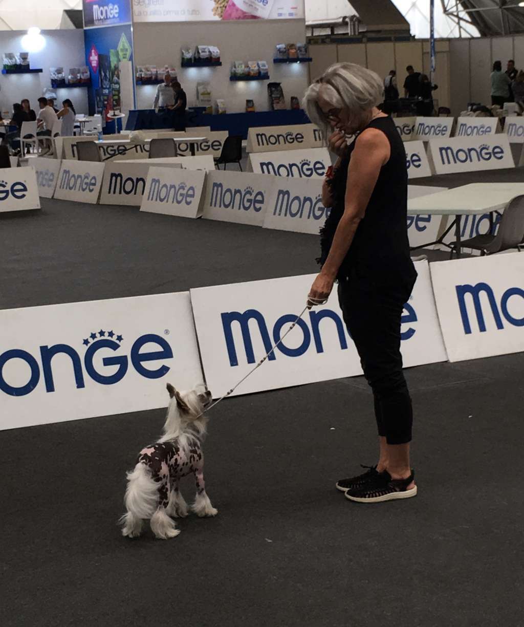 Zheneva-Debjut Dance of  Romans