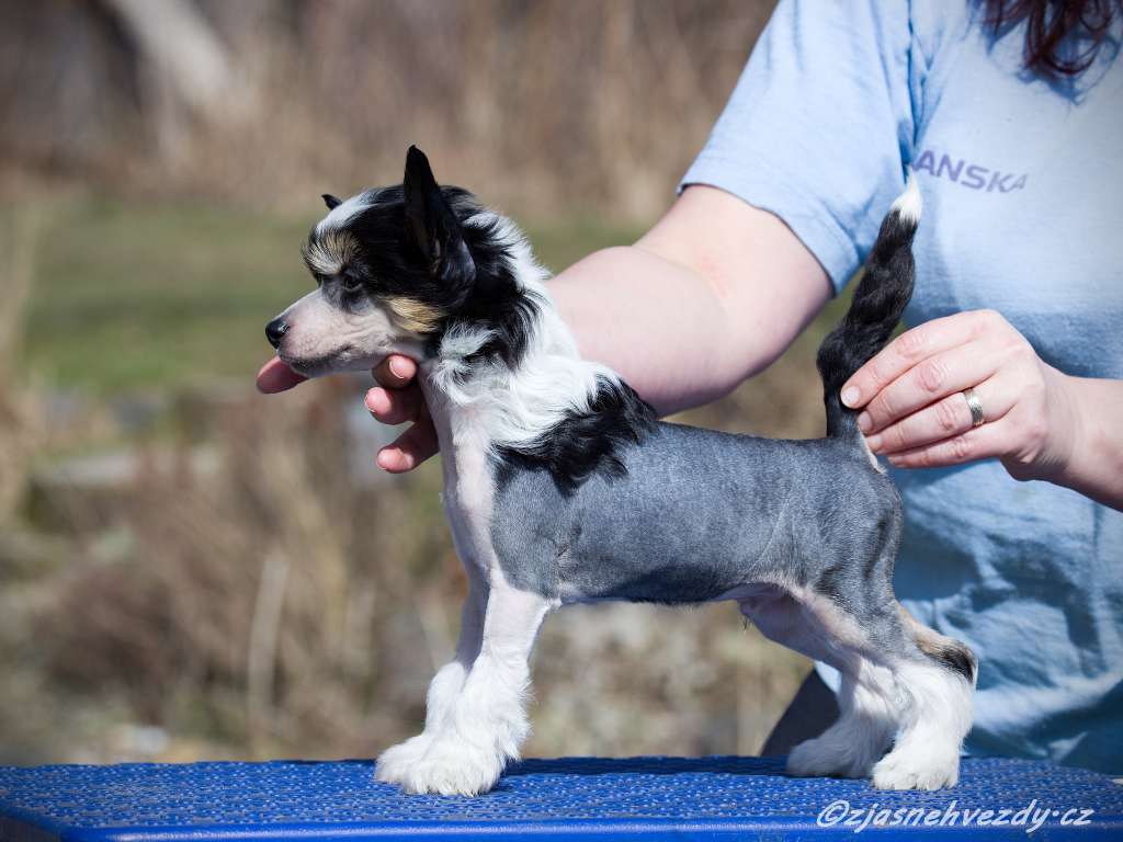 Rainbow z Jasne hvezdy