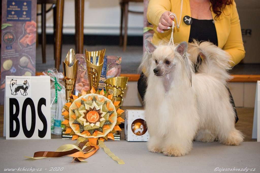 Sophia z Jasne hvezdy