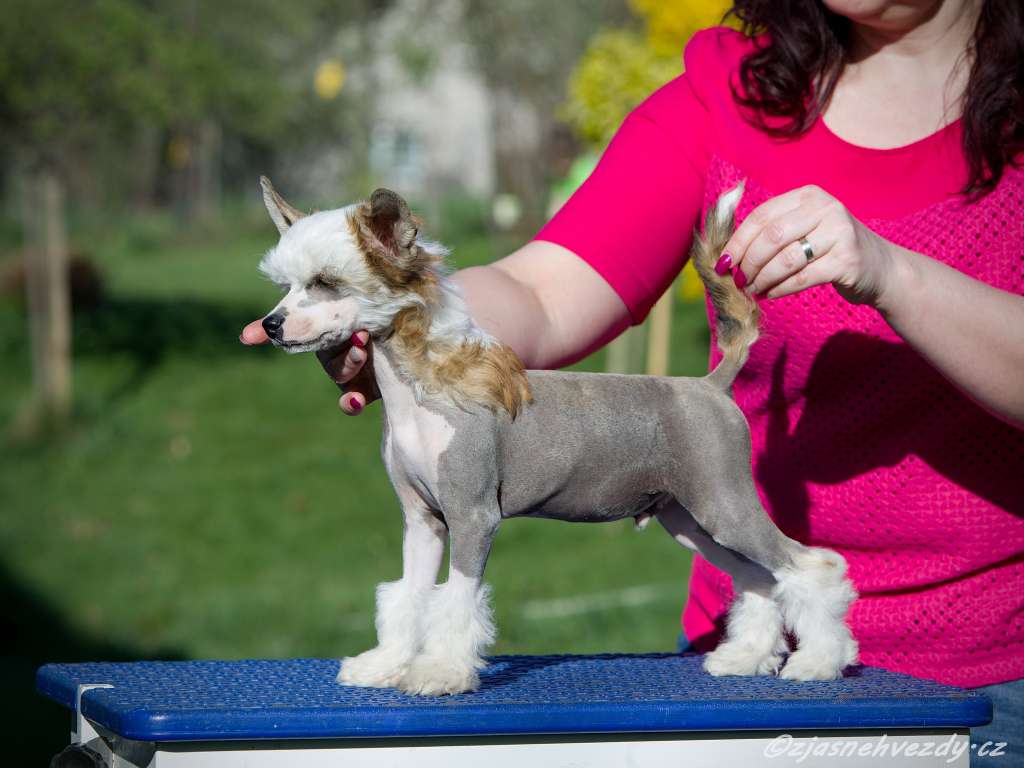 Sweetheart z Jasne hvezdy