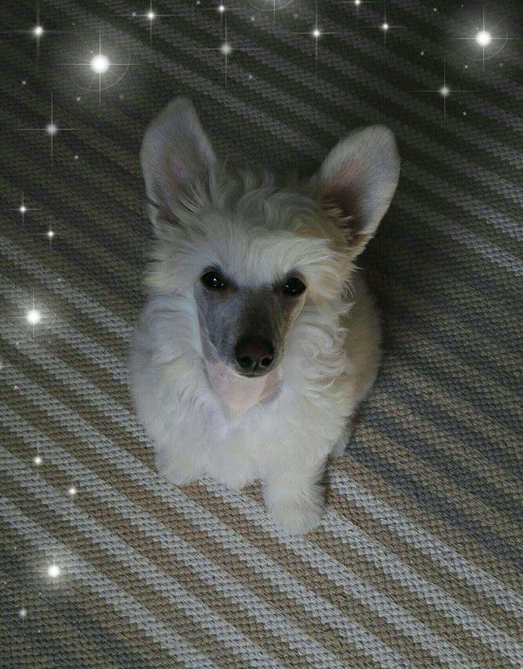 Concrete Clouds Bursting Bubbles