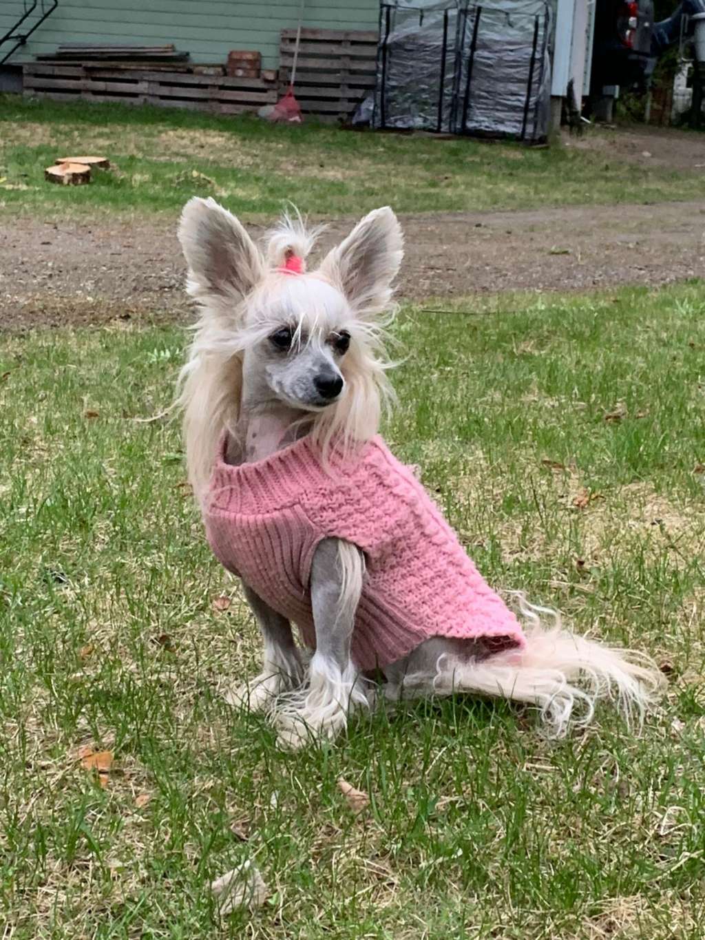 Concrete Clouds Chic China Chick