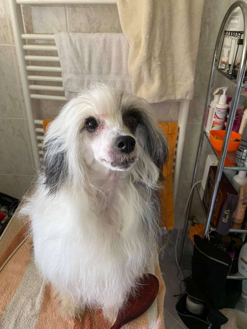 Goddes of Beauty z Valdorfskych lesu