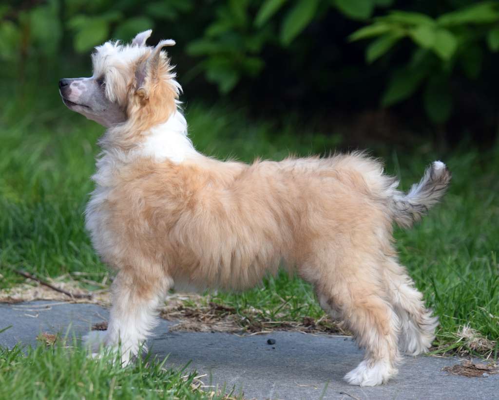 Artic Flyer's UPS I'm not Naked