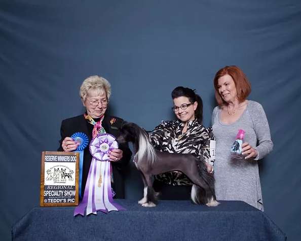 Kellyn N Dasha's I Can Explain