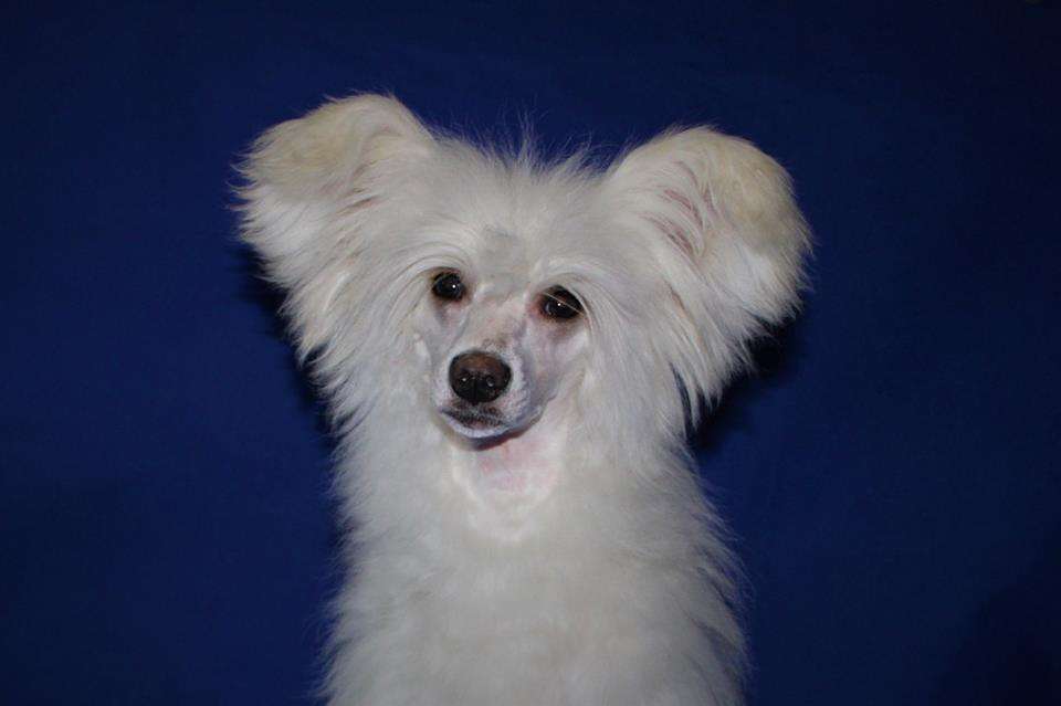 Emu Net Ravnyh Dlya Liris