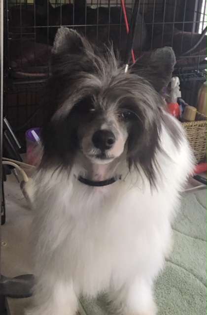 Edelweiss Mel-Chi No One Else On Earth