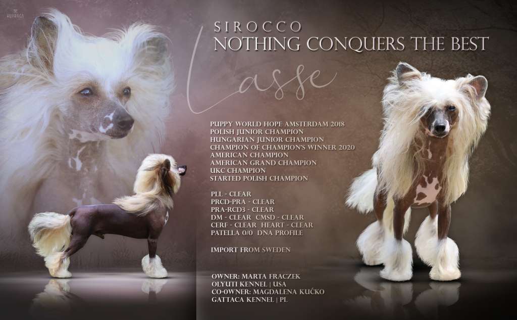 Sirocco Nothing Conquers The Best