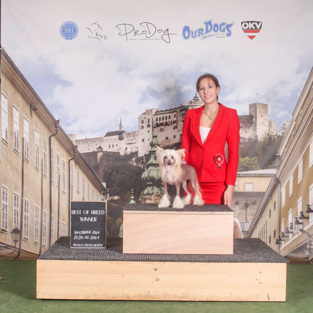 Zuri My Love Princes de la Roses