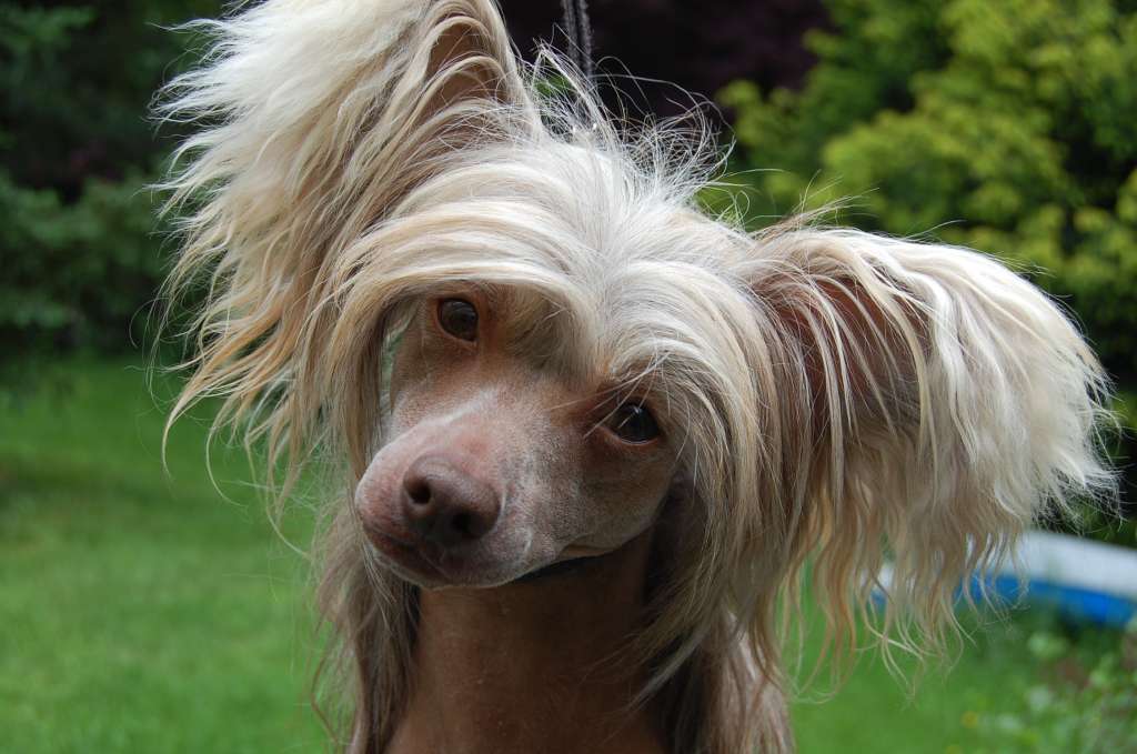 Colore Della Vita Magma