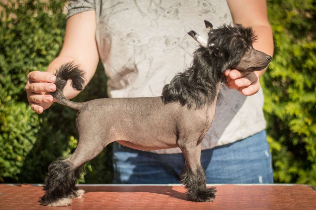 Forseti's One Night Stand