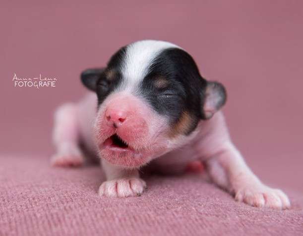 Little Rehma's Nuran