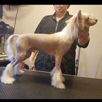 Luckytern Kissing In The Moonlight