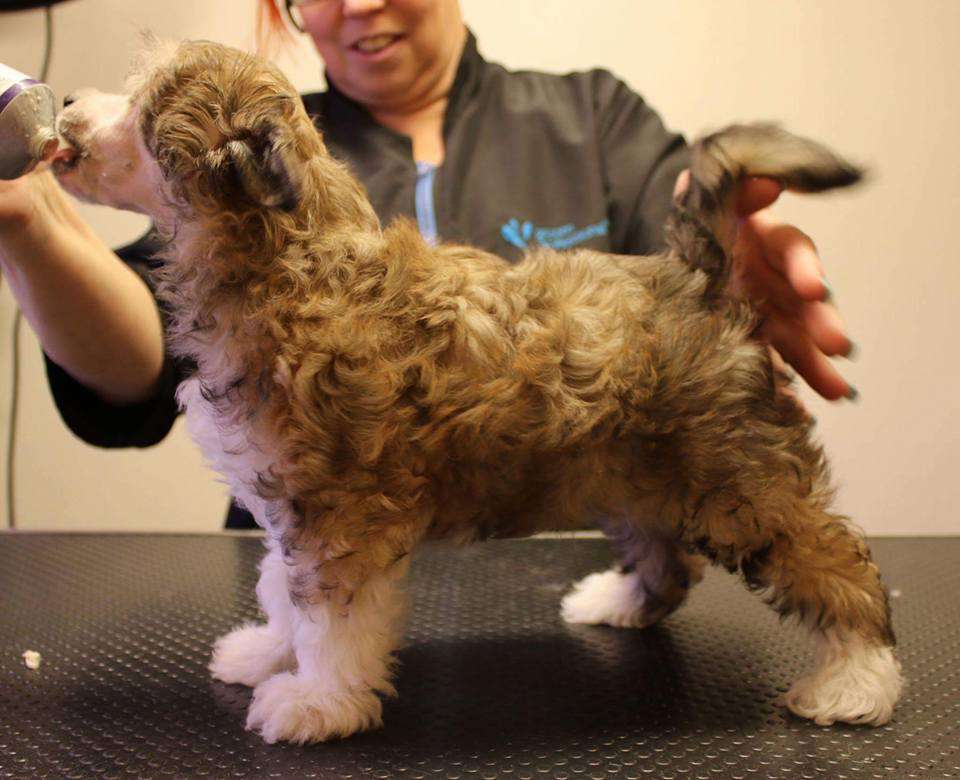 Luckytern MR Bass Man