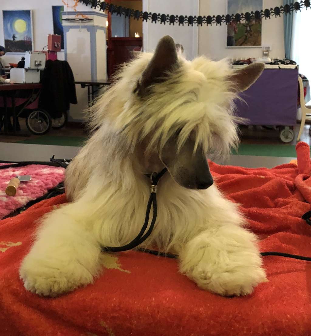 Lanvin von Shinbashi