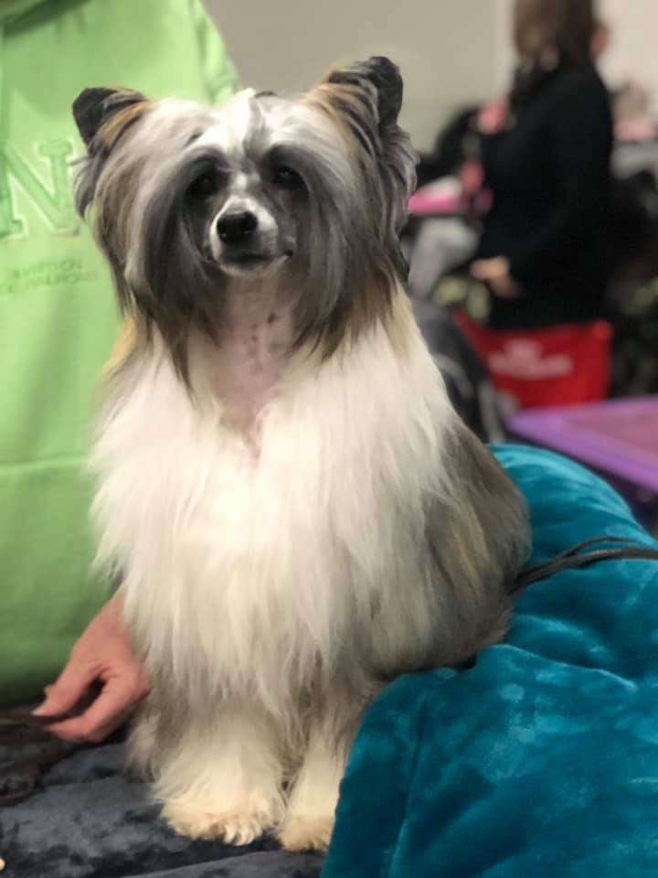 Clezel's Great Final 'N Magic