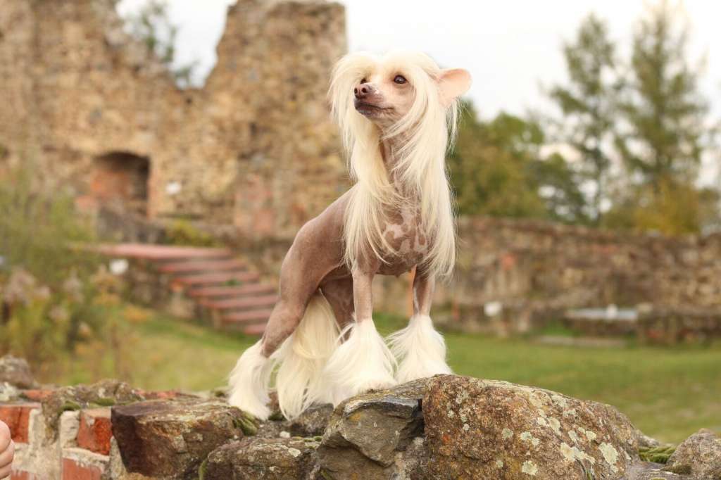 A Cute Chloe Choose The Joy