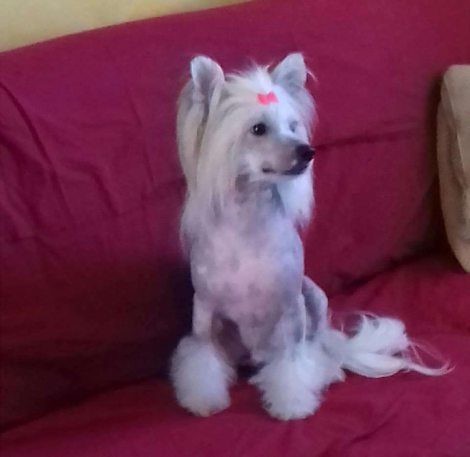 Dakota Rose What Do I Do Here?