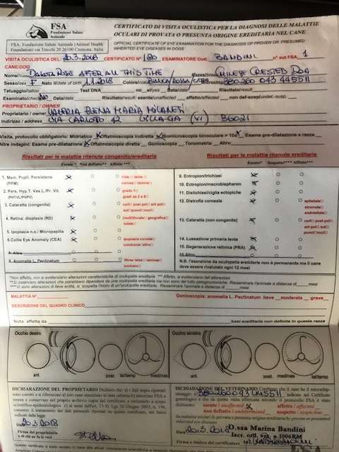 Dakota Rose After All This Time