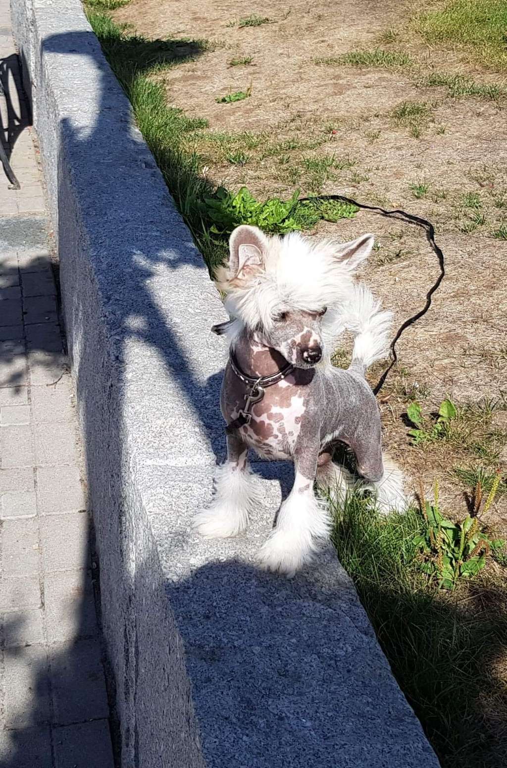 Tournais Hashtag OMG