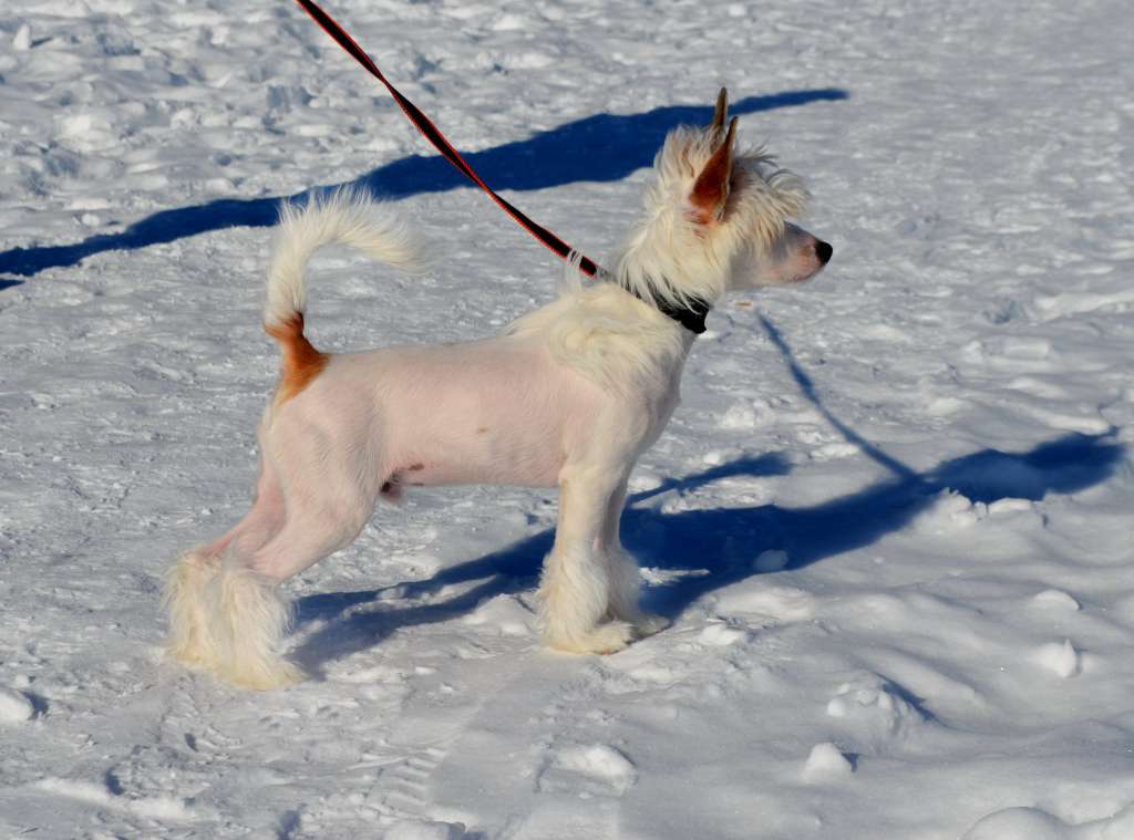 Etno Spirit Turn Me On