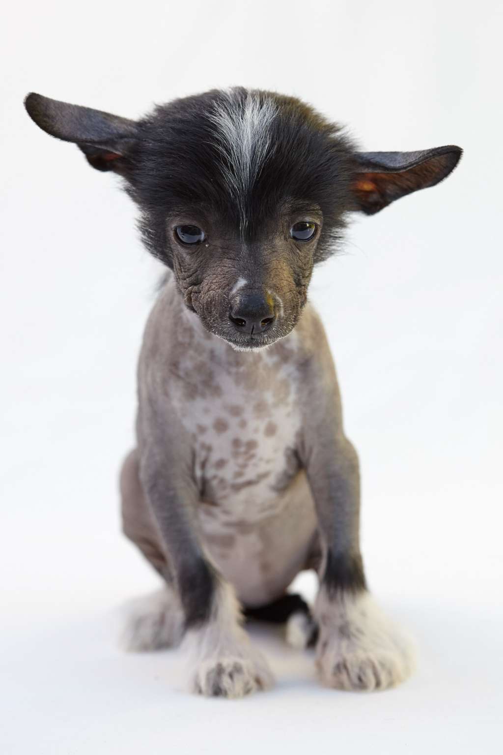 Ready Get Naked Of Miracle Legacy