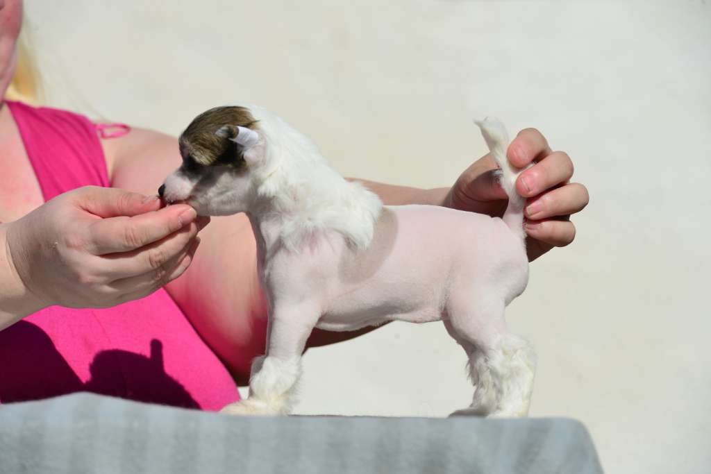 Sun Dan Little Spot In Heaven