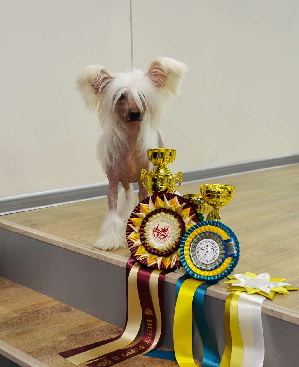 Etno Spirit Ultra Max