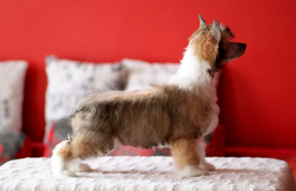 Histeryk Na Kazdym Kroku Pretensja