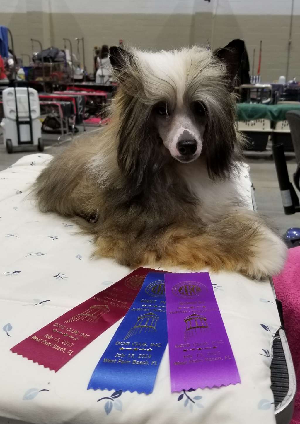 GCh Kaylen's Ministry of Magic