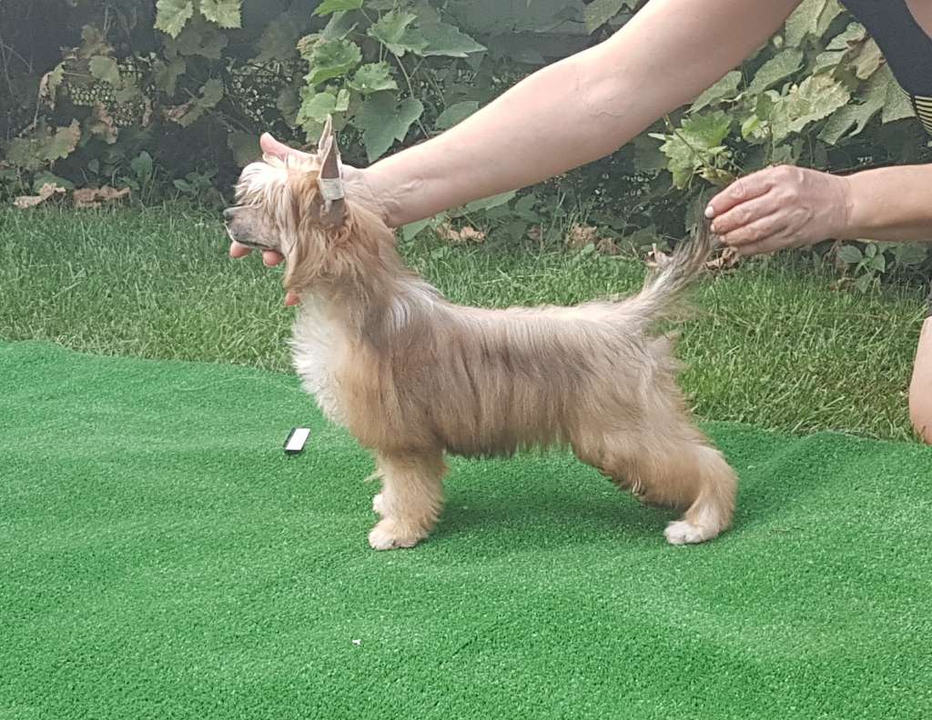 Zheneva-Debjut Katyusha