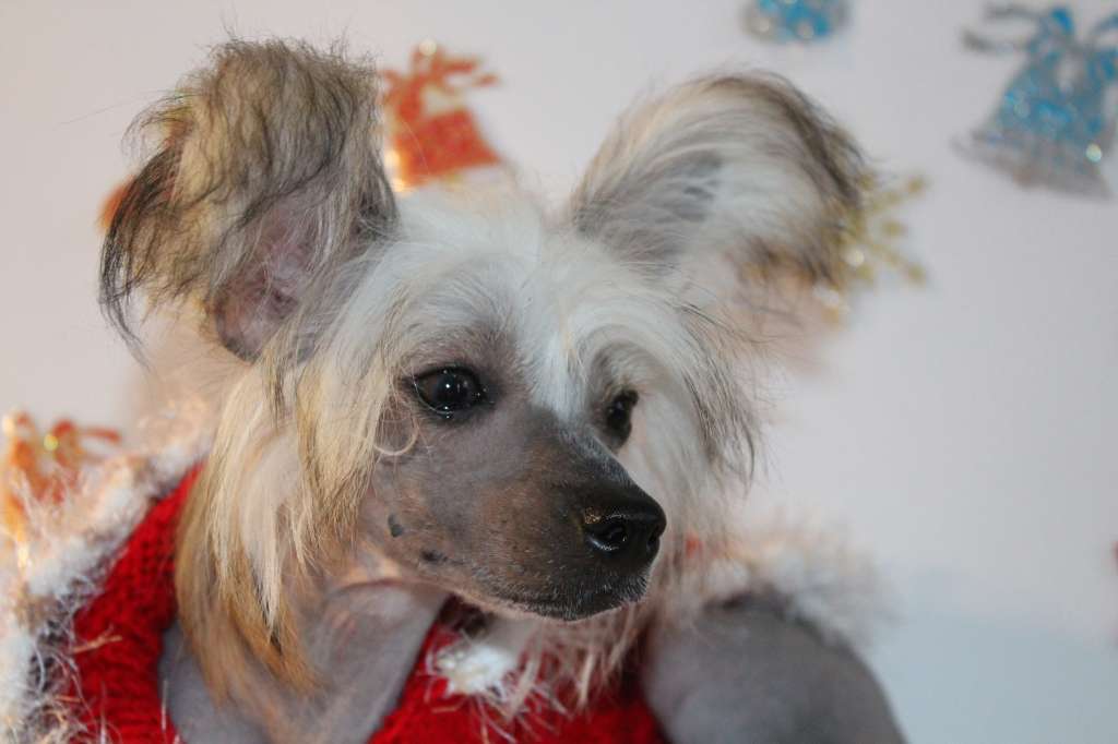 Camilla Il senso della mia vita