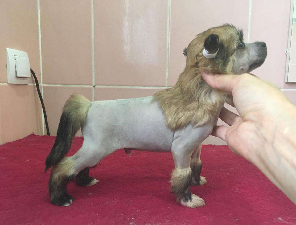 Fiery Fame Quicksilver